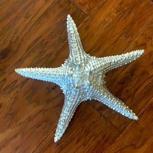 Silver starfish